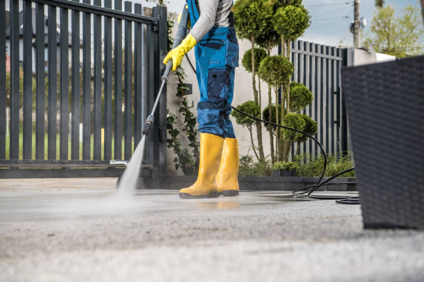 Best Driveway Cleaning and Restoration in USA